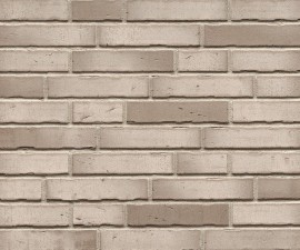 "Feldhaus Klinker" klinkerinės plytelės R941